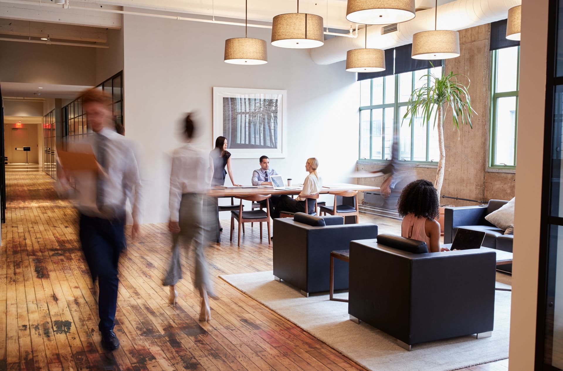 Professional office space for SmashWebs consultations
